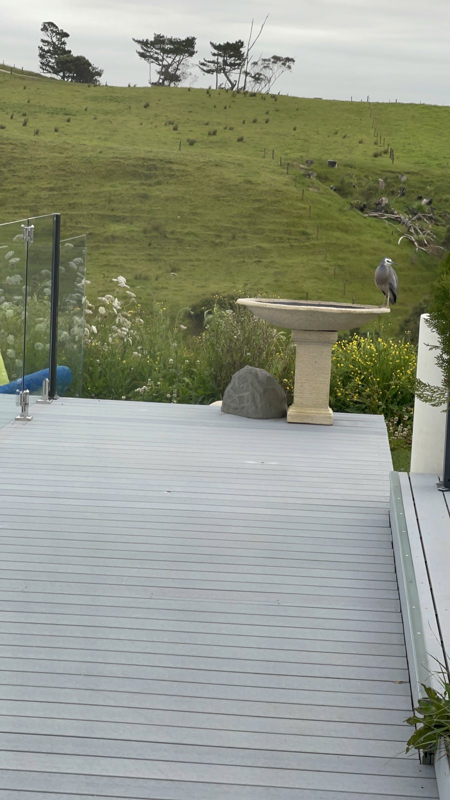 Low-maintenance grey composite deck finished with glass balustrades